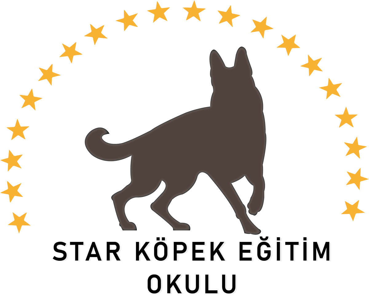 AŞI PROGRAMI