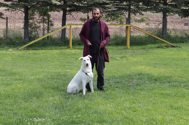 Yavuz Kaya