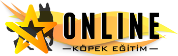 Online Köpek Eğitim Sitemiz